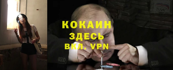 a pvp Новозыбков