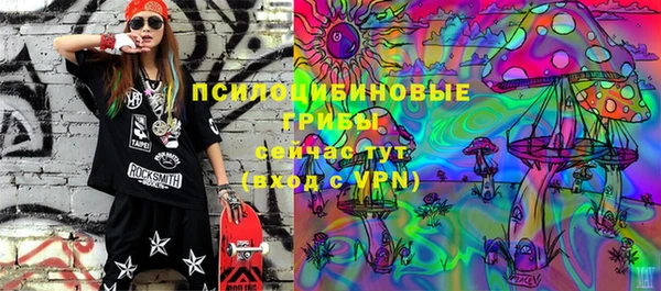 PSILOCYBIN Новодвинск