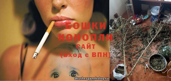 a pvp Новозыбков
