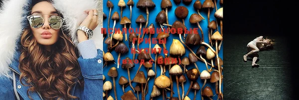 PSILOCYBIN Новодвинск
