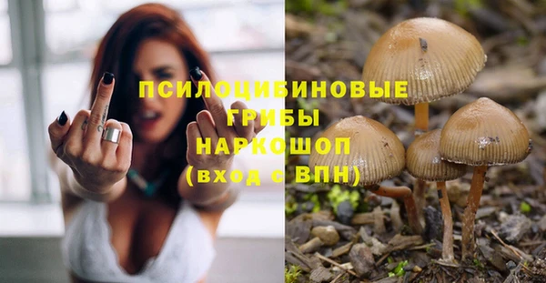тгк Новокубанск