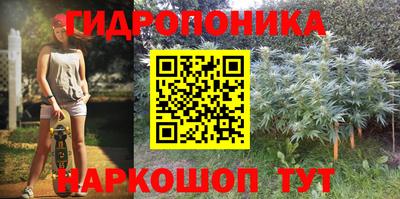 прущие грибы Балаково