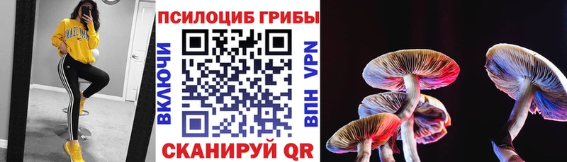 Псилоцибиновые грибы мицелий дарнет шоп Муравленко