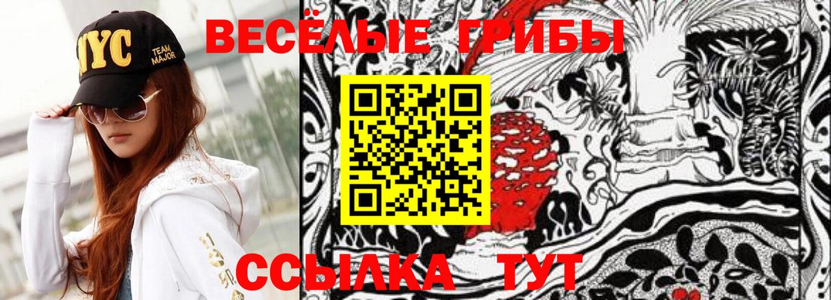 Псилоцибиновые грибы мицелий  Псилоцибиновые грибы ЛСД  Муравленко 