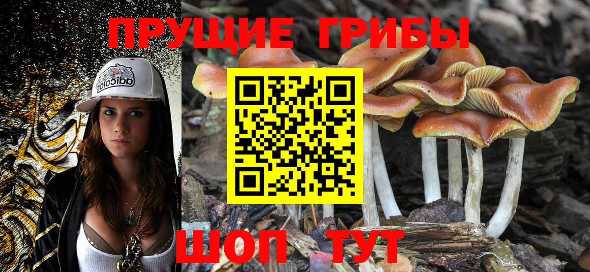 Галлюциногенные грибы Cubensis Муравленко